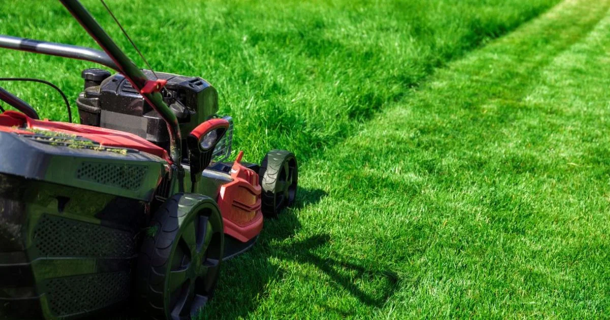 Lawn mower cutting green grass in a backyard.